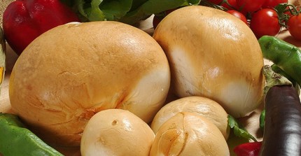 SCAMORZA AFFUMICATA KG
