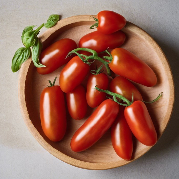 SAN MARZANO AGRO SARNESE NOCERINO DOP TOMATO 6x2.550KG - Image 3