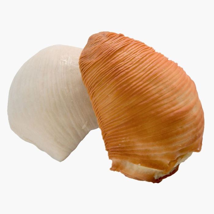 SFOGLIATELLE RICCE NAPOLETANA 75PZ - Image 1
