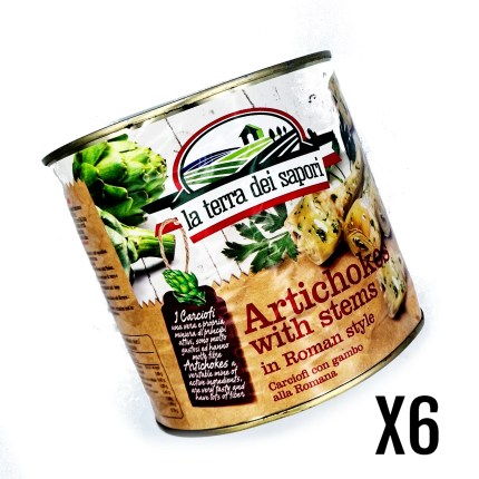 CARCIOFI CON GAMBO LA TERRA DEI SAPORI 6x2.5KG