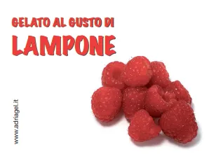 GELATO LAMPONE (VASCHETTA 5LT) MOR