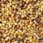FREGULA SARDA 12x500G - Image 2